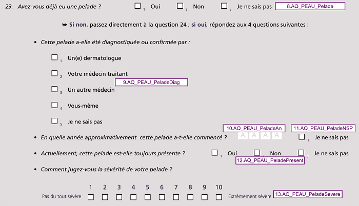 S- Question Pelade_Peau